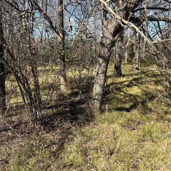 Sulphur Springs, TX 75482,TBD Tx-154