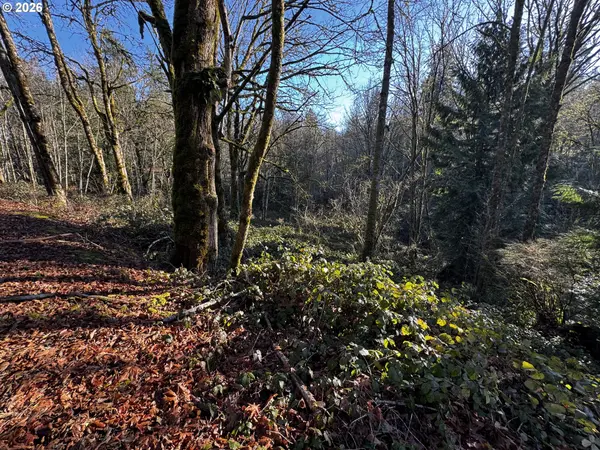 Longview, WA 98632,0 Maplewood DR