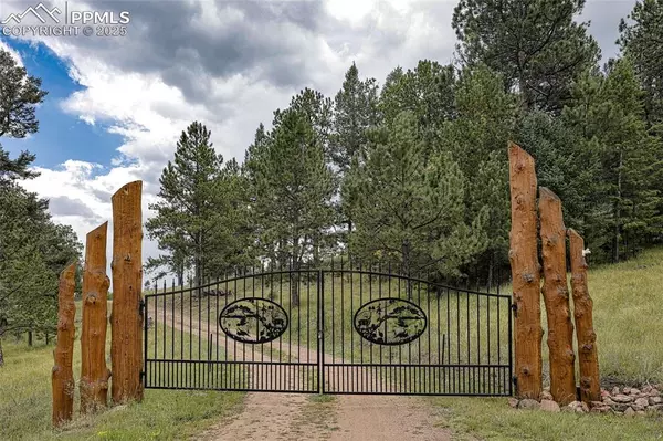 Florissant, CO 80816,62 Cheyenne RD