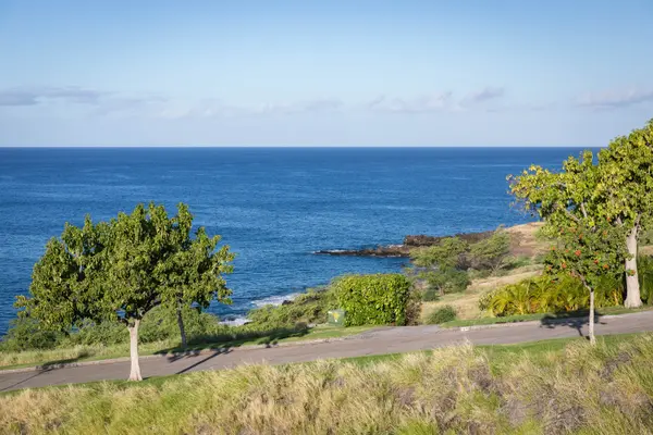 59-111 LAUIPALA PL, Kamuela, HI 96743