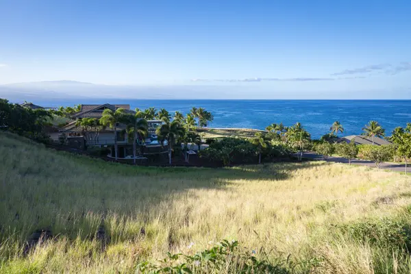 59-111 LAUIPALA PL, Kamuela, HI 96743
