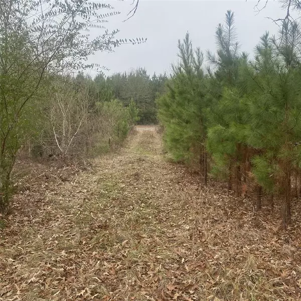 908 WPA Rd, Mansfield, LA 71052