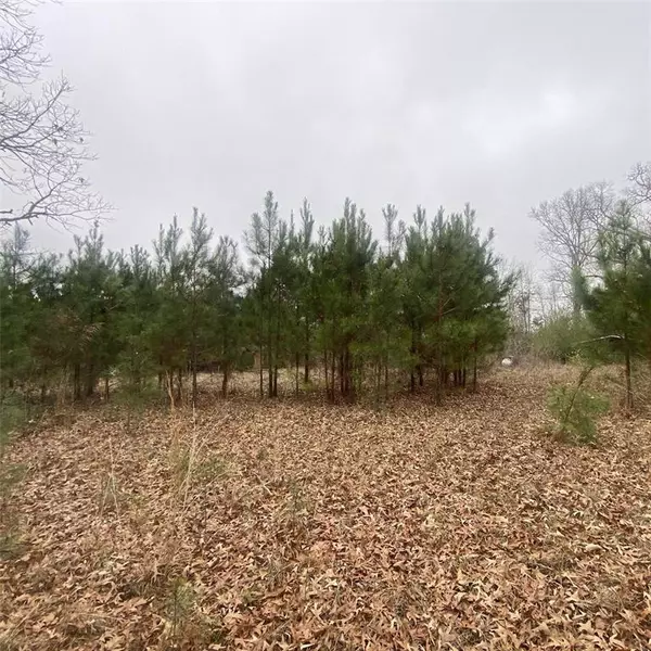 Mansfield, LA 71052,908 WPA Rd