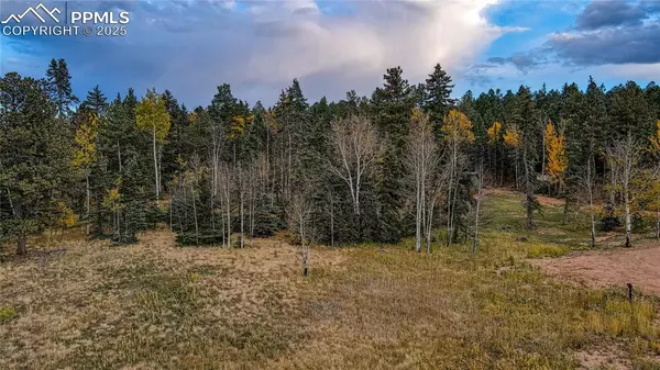 Florissant, CO 80816,166 Denwood DR