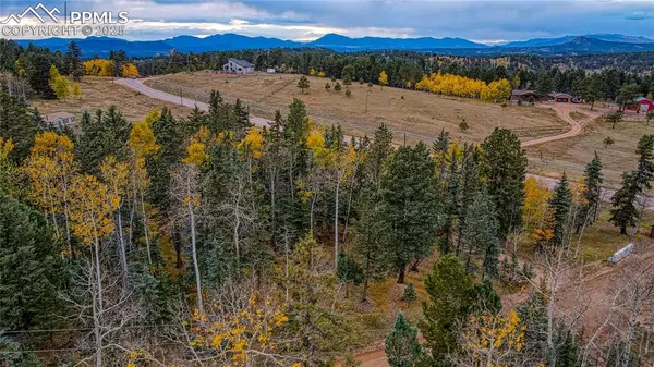 Florissant, CO 80816,166 Denwood DR