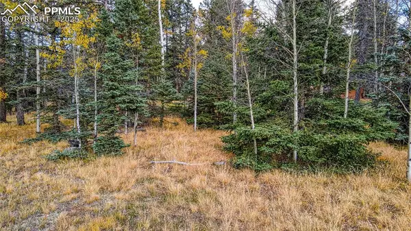 Florissant, CO 80816,166 Denwood DR