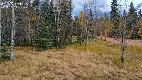 Florissant, CO 80816,166 Denwood DR