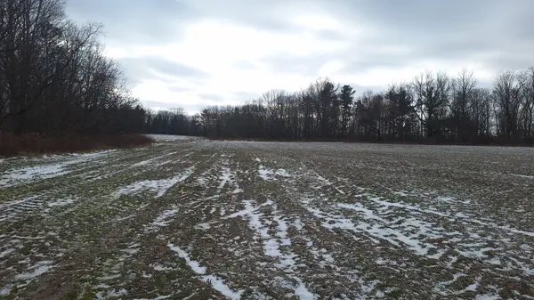 6349A Plank RD, Bayham, ON N0J 1Z0