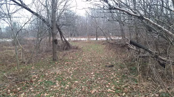 Bayham, ON N0J 1Z0,6349A Plank RD