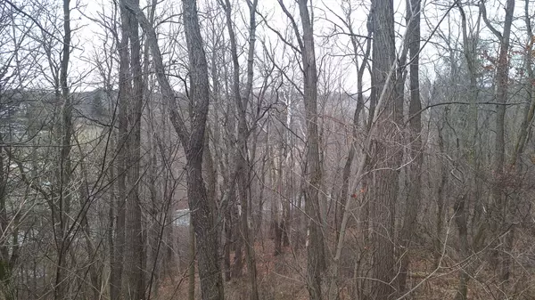 Bayham, ON N0J 1Z0,6349A Plank RD