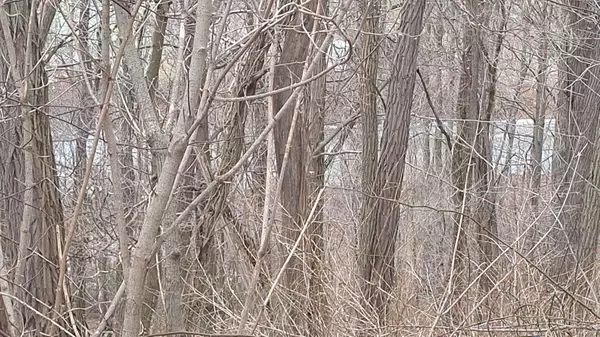 Bayham, ON N0J 1Z0,6349A Plank RD