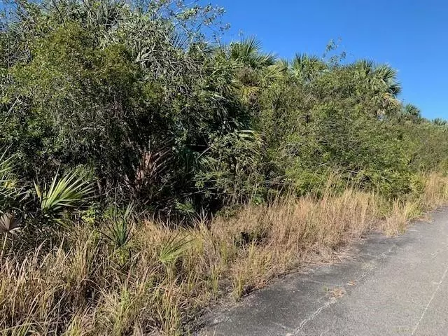 Palm Bay, FL 32908,0 SW Ginryo rd