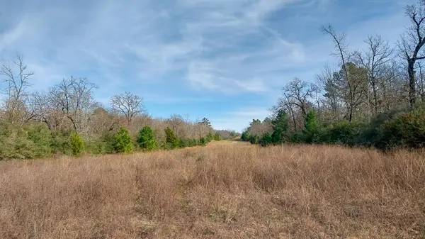 Buffalo, TX 75831,00 FM 1511