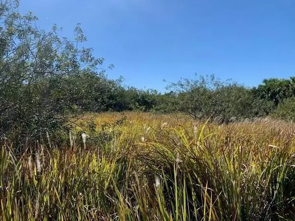 Palm Bay, FL 32908,0 SW Ginryo rd