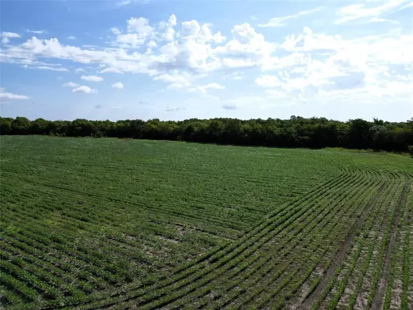 Klondike, TX 75448,25 Ac FM 3132