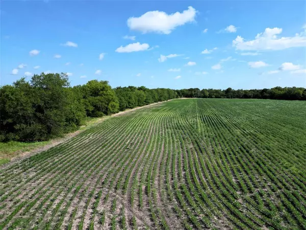 Klondike, TX 75448,25 Ac FM 3132