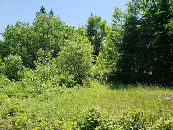 Whitewater Region, ON K0J 1Y0,15572 Highway 17 N/A