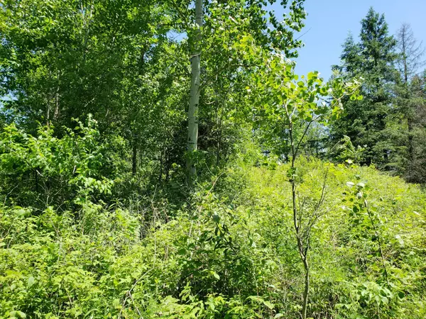 Whitewater Region, ON K0J 1Y0,15572 Highway 17 N/A