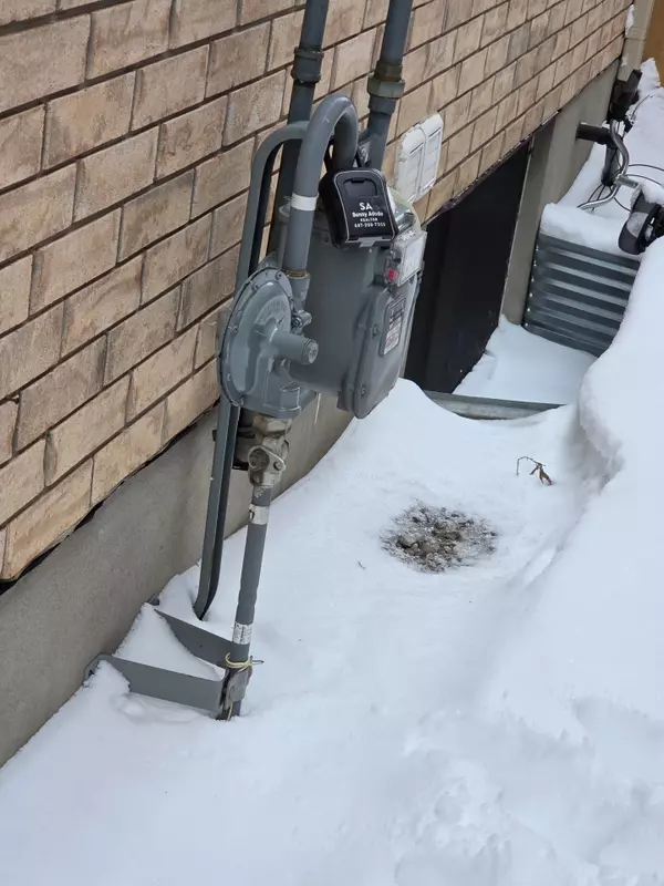 Guelph, ON N1L 0L6,Address not disclosed