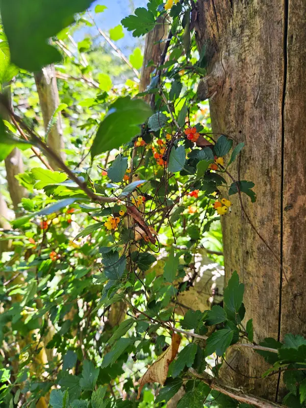 Southgate, ON N0G 2A0,612608 Sideroad 61 N/A