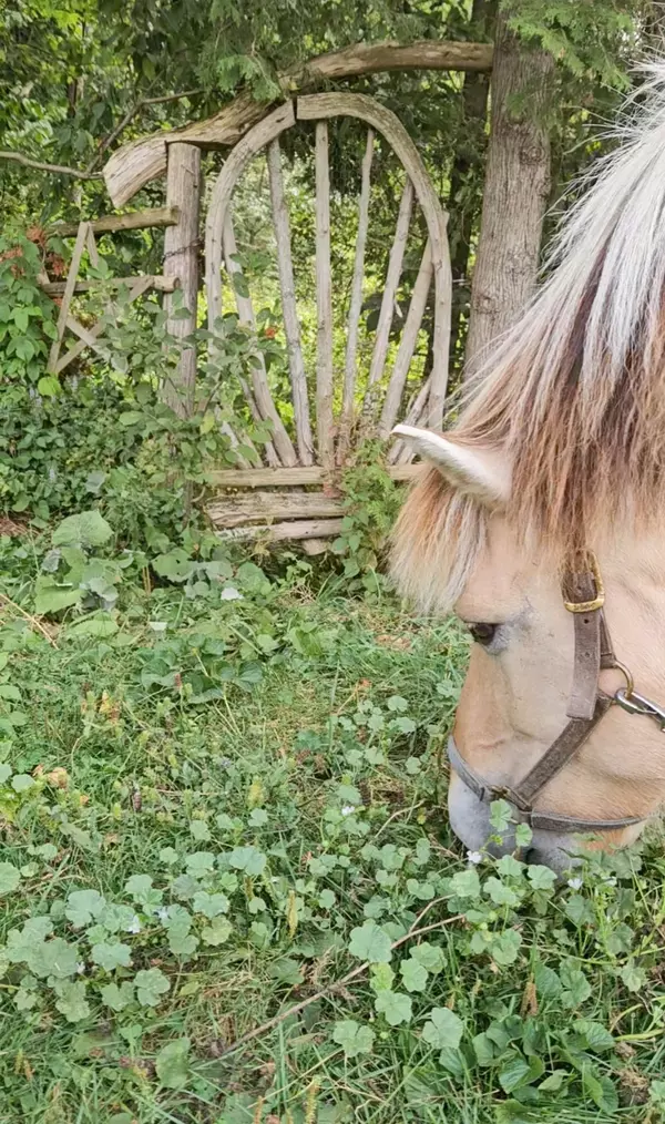 Southgate, ON N0G 2A0,612608 Sideroad 61 N/A