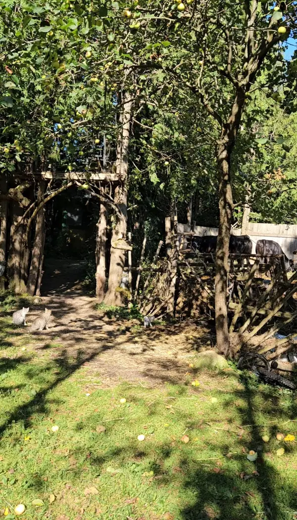 Southgate, ON N0G 2A0,612608 Sideroad 61 N/A