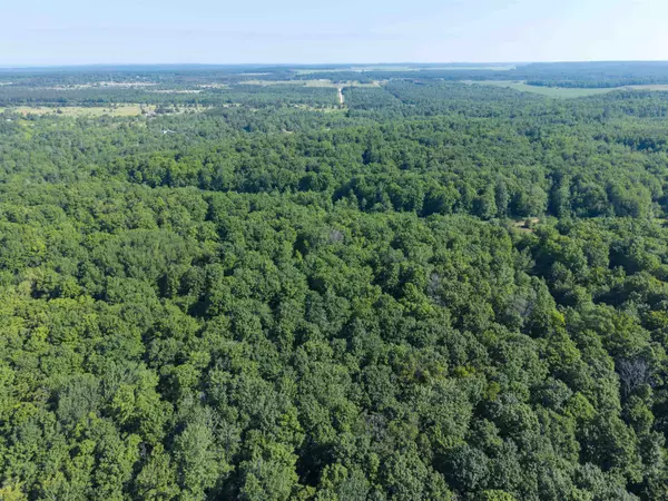 Elmira, MI 49730,12-D Plainfield TRL