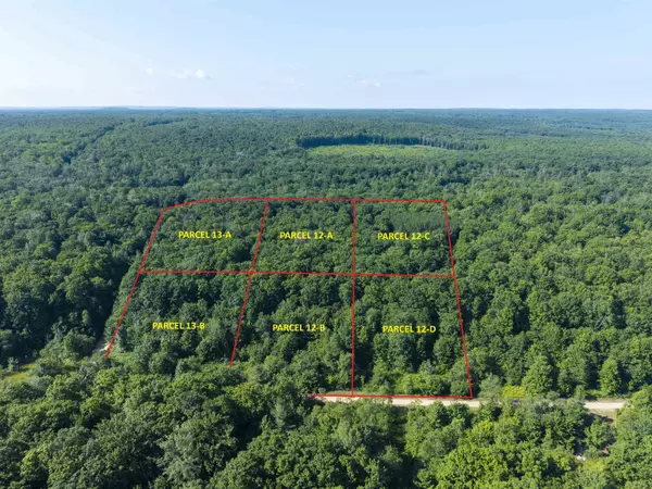 Elmira, MI 49730,12-A Hill Crest DR