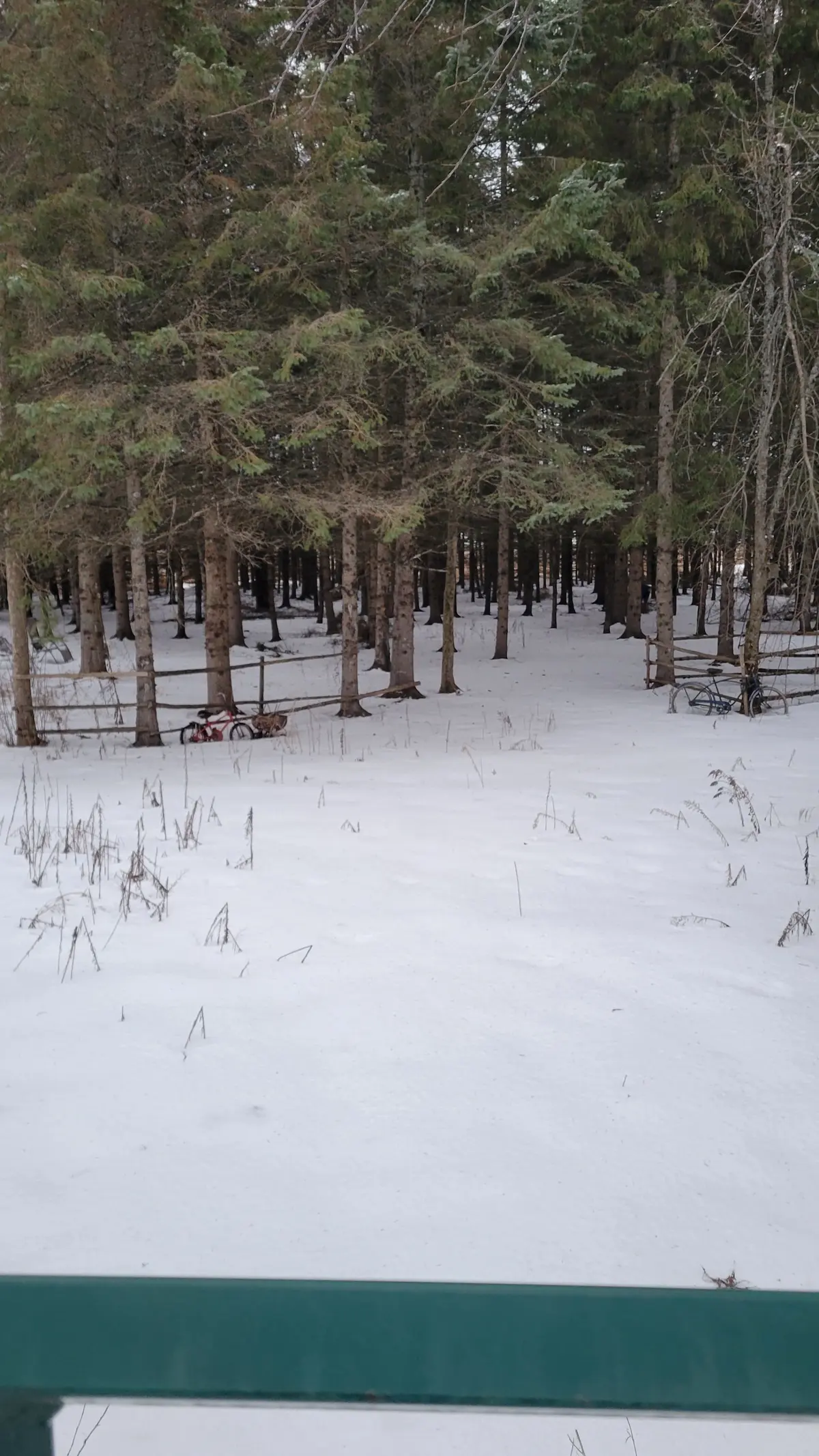 Stirling-rawdon, ON K0K 2M0,8 St. Marks RD