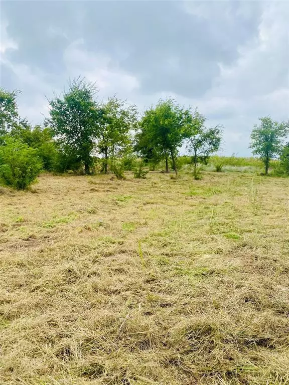 Cresson, TX 76035,3141 Outlaw Drive