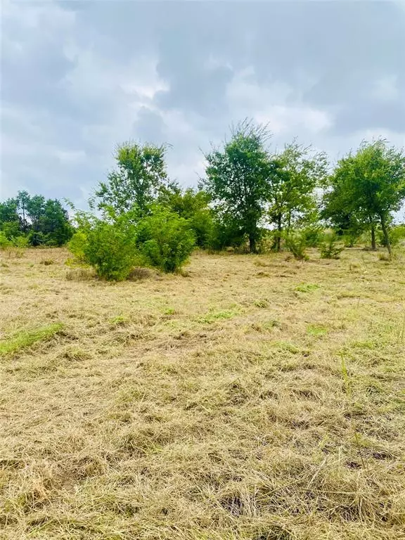 Cresson, TX 76035,3141 Outlaw Drive