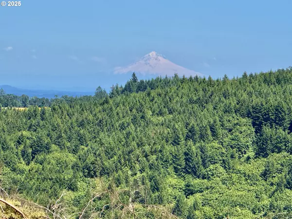 Mc Minnville, OR 97128,11892 SW Dupee Valley RD