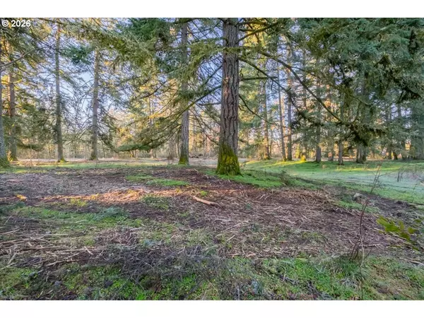 Stayton, OR 97383,11997 TOWERS RD