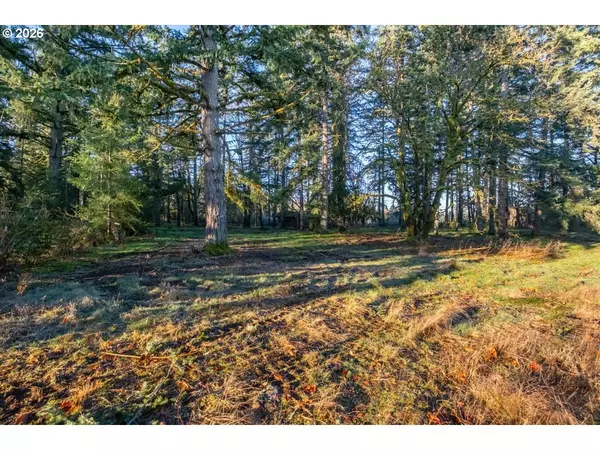 Stayton, OR 97383,11997 TOWERS RD