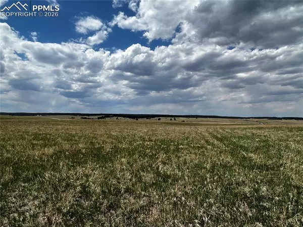 Colorado Springs, CO 80908,11970 Woodridge TER