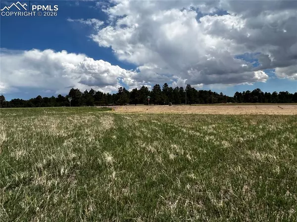 Colorado Springs, CO 80908,11970 Woodridge TER