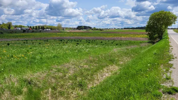 3568 4 Line, Bradford West Gwillimbury, ON L3Z 2L7