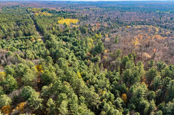 Huntsville, ON P0B 1M0,267 & 321 Cardwell Lake RD