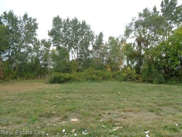 Detroit, MI 48207,2628 HUNT ST