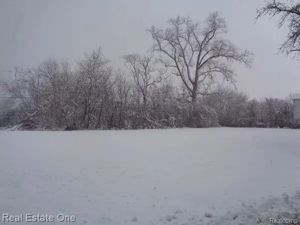 Detroit, MI 48207,1043 CANTON ST