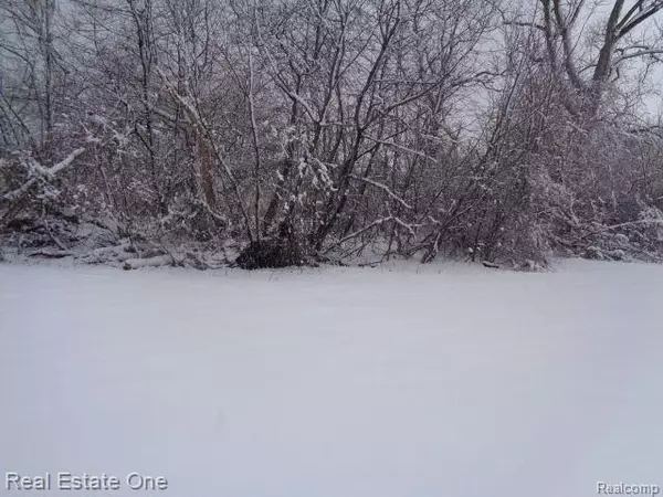 Detroit, MI 48207,1043 CANTON ST