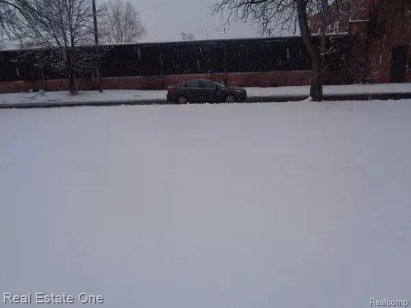 Detroit, MI 48207,1043 CANTON ST