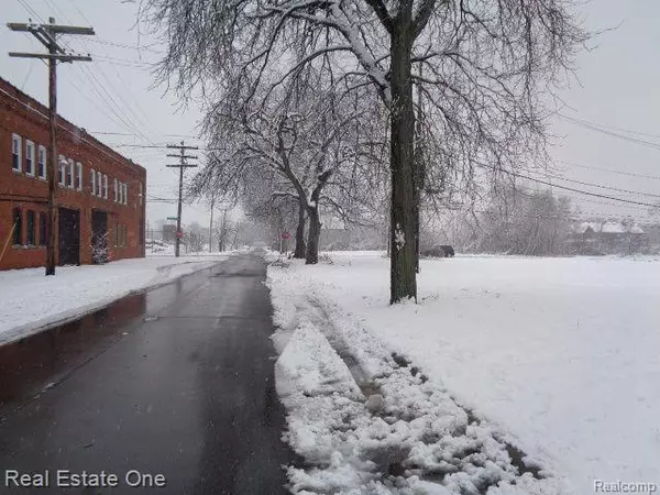 Detroit, MI 48207,1043 CANTON ST