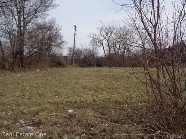 Detroit, MI 48207,612 CONCORD ST