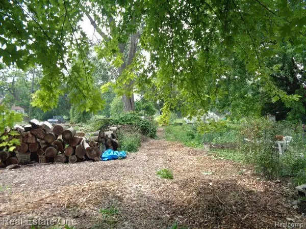 Detroit, MI 48216,2927 ROSA PARKS BLVD