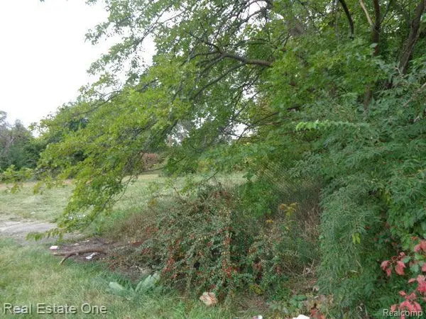 Detroit, MI 48207,2628 HUNT ST