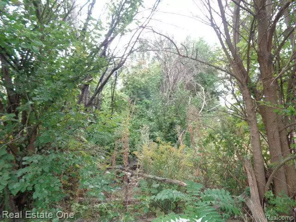 Detroit, MI 48207,2628 HUNT ST