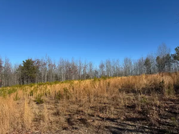 Hurt, VA 24563,0 Easome RD #Lot 2