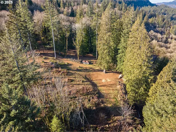 Washougal, WA 98671,452 WILDLIFE DR