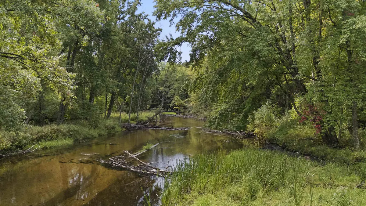 20 AC Big Four RD, Springdale Twp, MI 49614